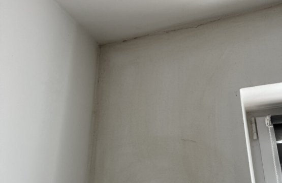 Likvidace plísně a tepelných mostů v bytě
