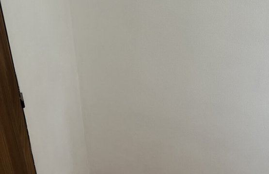 Likvidace plísní a snížení vlhkosti v domě